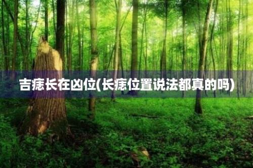 吉痣长在凶位(长痣位置说法都真的吗)