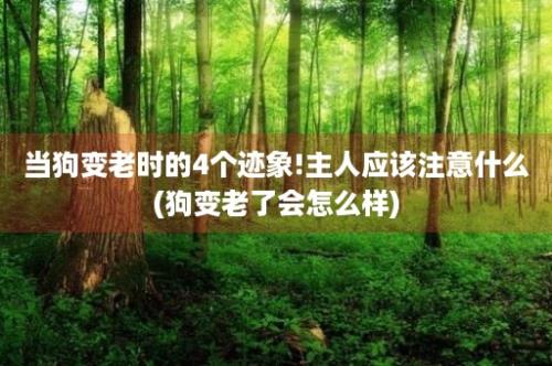 当狗变老时的4个迹象!主人应该注意什么(狗变老了会怎么样)