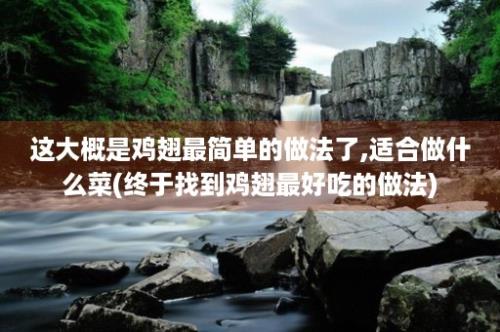 这大概是鸡翅最简单的做法了,适合做什么菜(终于找到鸡翅最好吃的做法)