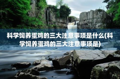 科学饲养蛋鸡的三大注意事项是什么(科学饲养蛋鸡的三大注意事项是)