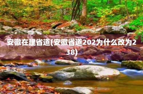 安徽在建省道(安徽省道202为什么改为238)