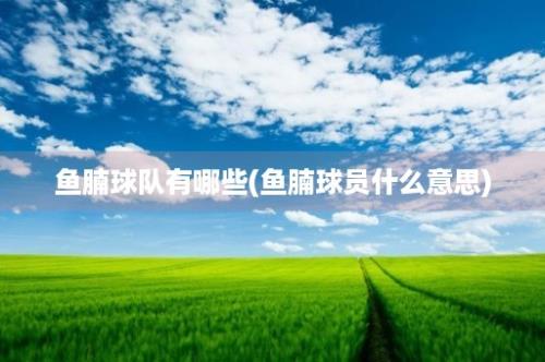 鱼腩球队有哪些(鱼腩球员什么意思)