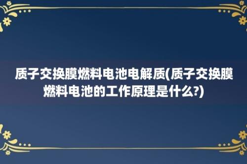 质子交换膜燃料电池电解质(质子交换膜燃料电池的工作原理是什么?)