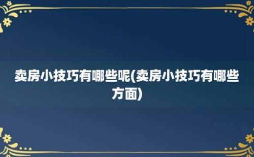 卖房小技巧有哪些呢(卖房小技巧有哪些方面)