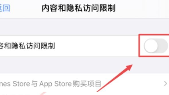 iphone 访问限制在哪