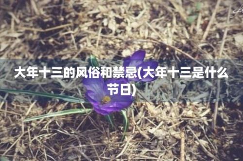 大年十三的风俗和禁忌(大年十三是什么节日)