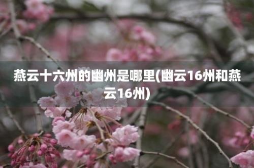 燕云十六州的幽州是哪里(幽云16州和燕云16州)