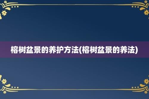 榕树盆景的养护方法(榕树盆景的养法)