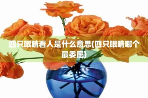 四只眼睛看人是什么意思(四只眼睛哪个最委屈)