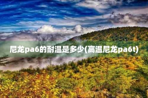 尼龙pa6的耐温是多少(高温尼龙pa6t)