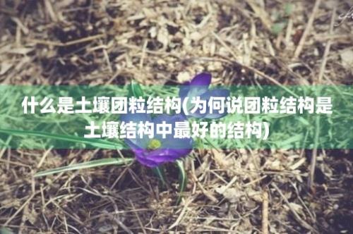 什么是土壤团粒结构(为何说团粒结构是土壤结构中最好的结构)