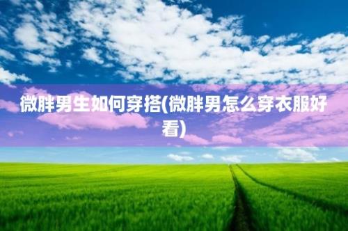 微胖男生如何穿搭(微胖男怎么穿衣服好看)