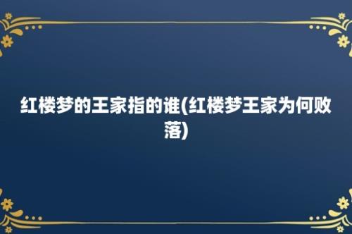 红楼梦的王家指的谁(红楼梦王家为何败落)