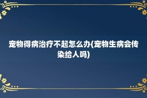 宠物得病治疗不起怎么办(宠物生病会传染给人吗)