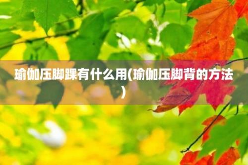 瑜伽压脚踝有什么用(瑜伽压脚背的方法)