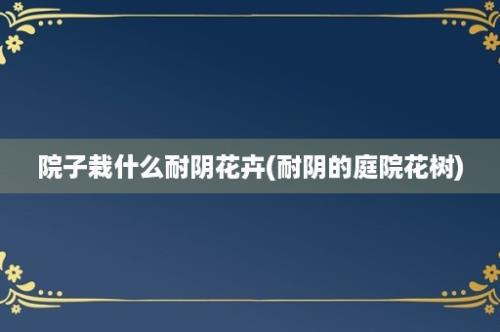 院子栽什么耐阴花卉(耐阴的庭院花树)