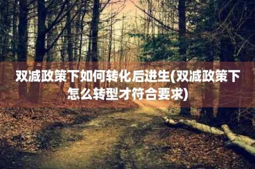 双减政策下如何转化后进生(双减政策下怎么转型才符合要求)