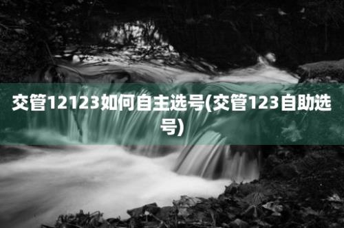 交管12123如何自主选号(交管123自助选号)