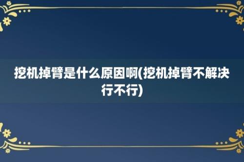 挖机掉臂是什么原因啊(挖机掉臂不解决行不行)