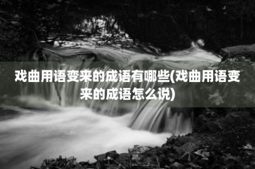 戏曲用语变来的成语有哪些(戏曲用语变来的成语怎么说)