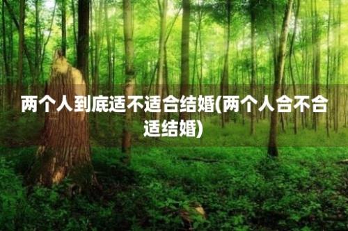 两个人到底适不适合结婚(两个人合不合适结婚)