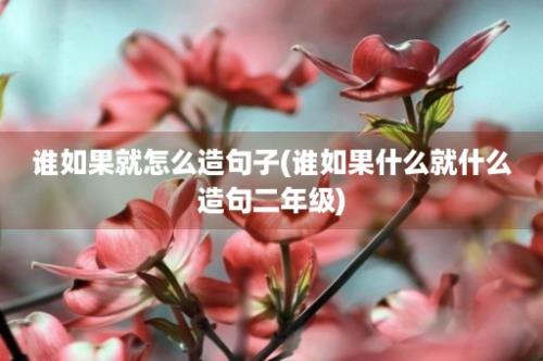 谁如果就怎么造句子(谁如果什么就什么造句二年级)