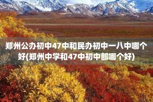 郑州公办初中47中和民办初中一八中哪个好(郑州中学和47中初中部哪个好)