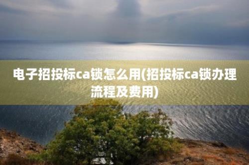 电子招投标ca锁怎么用(招投标ca锁办理流程及费用)