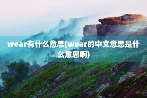 wear有什么意思(wear的中文意思是什么意思啊)