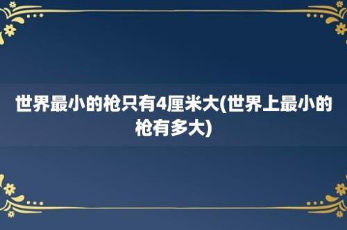 世界最小的枪只有4厘米大(世界上最小的枪有多大)