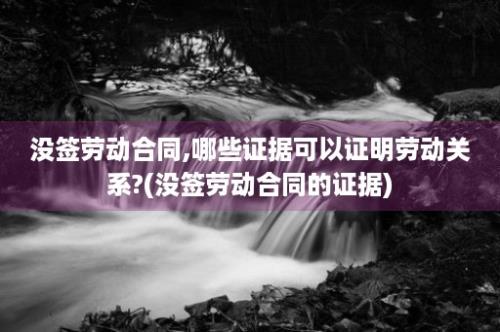 没签劳动合同,哪些证据可以证明劳动关系?(没签劳动合同的证据)