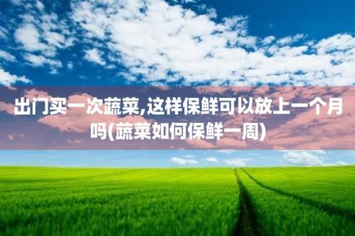 出门买一次蔬菜,这样保鲜可以放上一个月吗(蔬菜如何保鲜一周)