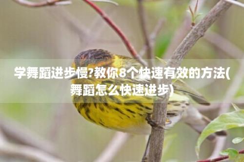 学舞蹈进步慢?教你8个快速有效的方法(舞蹈怎么快速进步)