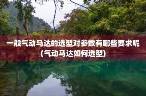 一般气动马达的选型对参数有哪些要求呢(气动马达如何选型)