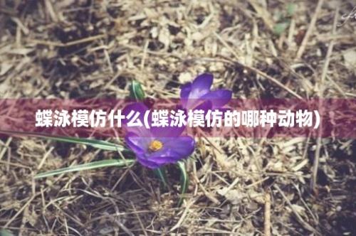 蝶泳模仿什么(蝶泳模仿的哪种动物)