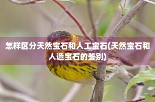 怎样区分天然宝石和人工宝石(天然宝石和人造宝石的鉴别)