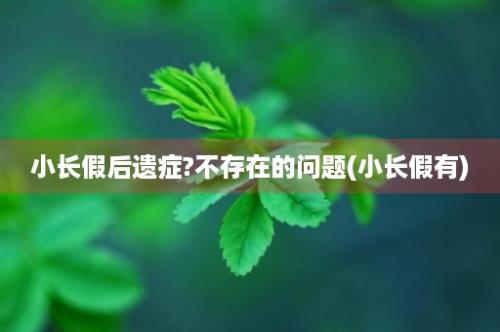 小长假后遗症?不存在的问题(小长假有)