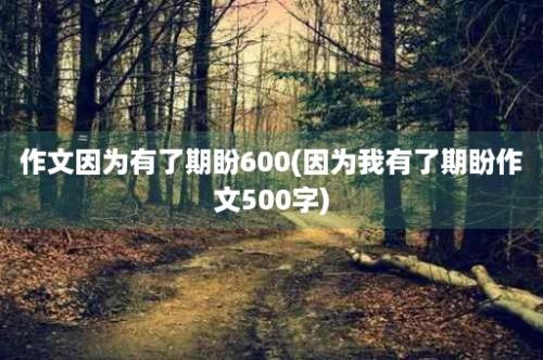 作文因为有了期盼600(因为我有了期盼作文500字)