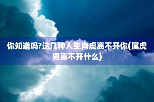 你知道吗?这几种人生肖虎离不开你(属虎男离不开什么)