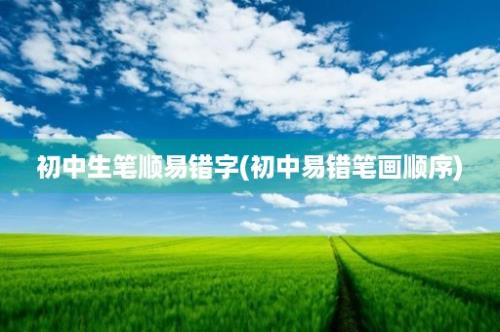 初中生笔顺易错字(初中易错笔画顺序)