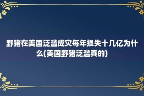 野猪在美国泛滥成灾每年损失十几亿为什么(美国野猪泛滥真的)