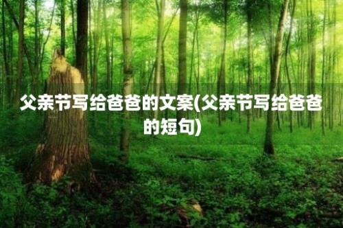 父亲节写给爸爸的文案(父亲节写给爸爸的短句)