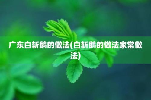 广东白斩鹅的做法(白斩鹅的做法家常做法)