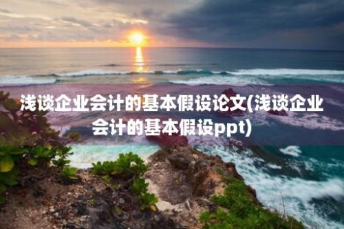 浅谈企业会计的基本假设论文(浅谈企业会计的基本假设ppt)