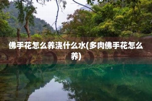 佛手花怎么养浇什么水(多肉佛手花怎么养)