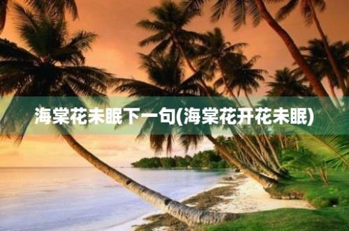 海棠花未眠下一句(海棠花开花未眠)