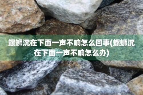 螺蛳沉在下面一声不响怎么回事(螺蛳沉在下面一声不响怎么办)