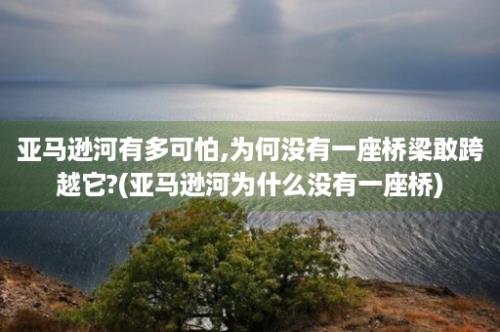 亚马逊河有多可怕,为何没有一座桥梁敢跨越它?(亚马逊河为什么没有一座桥)