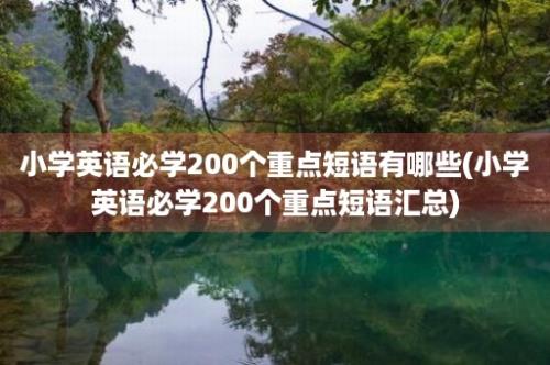 小学英语必学200个重点短语有哪些(小学英语必学200个重点短语汇总)