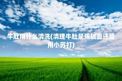 牛肚用什么清洗(清理牛肚是用碱面还是用小苏打)